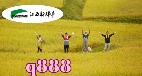 Tân Nhuận Phong - Cơ nghiệp trăm năm, thông tin làm nền tảng, nông nghiệp là ưu tiên hàng đầu